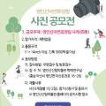 벨라 모먼트 이미지