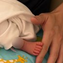 조은세탁 | 진주 참조은 산후조리원(일반실,프리미엄B) 후기