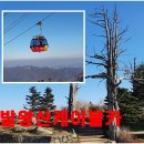 효심카프라자 | 발왕산 관광케이블카/평창관광택시 여행으로 본전 뽑아