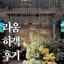 르네상스웨딩홀 | 라움아트센터 마제스틱볼룸홀 | 하객 후기 | 광고 아님 | 웨딩홀 투어 | 하트시그널 김지영 웨딩홀