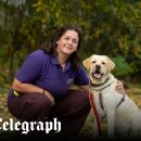 Beauty in Dog's 이미지