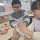 서초등학교 | 전남, 전북 진로 직업 체험 - 삼호서초등학교 1학년 마술사 체험 &amp; 의료직업 체험!