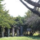 의사김응삼순절비 이미지