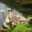 볕 좋은 산촌에선 사람도 시나브로 익어간다 이미지