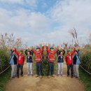 하늘공원 이미지