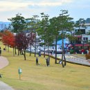 바람소리 이미지