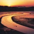 순천만 갈대밭 이미지