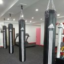 용인대 GX 복싱체육관 이미지