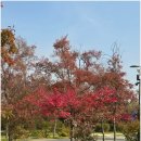 수빈 | 삼성동점집 추천받아 다녀온 수빈보살 후기