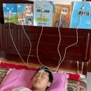 탑시저링 | [반려견스타일리스트 3급] 66점으로 합격한 애견미용 자격증 필기 시험 후기