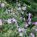 농축농장 이미지