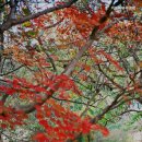 거북바위야영장 이미지