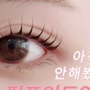 디자인새늘 이미지