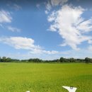 찬앤건스공인중개사사무소 이미지