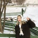 영선목장 이미지