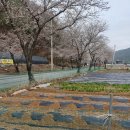 쉼터농장 이미지