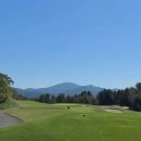 페럼클럽 이미지