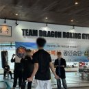 드래곤복싱체육관 이미지