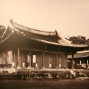 수원-1915 이미지