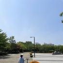 케이티아이태권도제주1관 | 6월 첫주 _ 아이와 함께 여유로운 주말 일상 (+범죄도시)