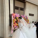 더베스트헤어 | 23. 본식 후기 _ 더베스트웨딩,제니스뷰티, 로브드샤, 하리메리, ST브라이드스냅,스냅스타, 표미진우리...