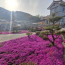 선학농장 이미지