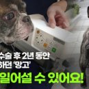 제우스메디칼 이미지