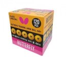 버터플라이 이미지