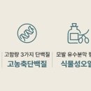 금은화헤어