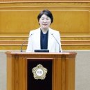 평안정비 이미지