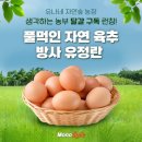 유나네 자연숲농장