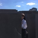 조*제