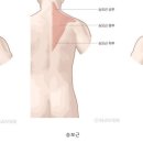 힙짐 이미지