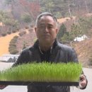 농업회사법인 새싹주식회사