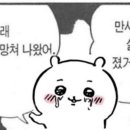 메챠쿠차