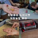 미소농장(생산종류: 고양이) | 태국 치앙마이 도이사켓 커피농장 투어 내돈내산 추천