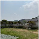 댕댕이 유치원 이미지