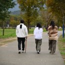 양평현대자동차정비(주) | [양평 당일치기] 배친자들에게 두물머리는 핑계일 뿐