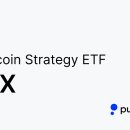 BITX 완전 해부: 2배 레버리지 비트코인 ETF 구조·수익률·리스크 분석﻿ 이미지