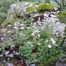 날마다소풍민박 이미지