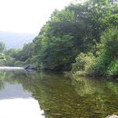 물과숲민박 이미지