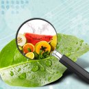 군포자동차정비센타 이미지