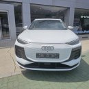 다해테크 | 25년식 Q6 e-tron 퍼포먼스(테크) 출고 후기