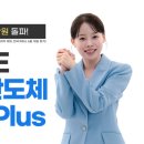 글로벌ACE