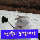 여주썬밸리눈썰매장 네이버블로그