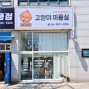고양이 미용실 방울선생 | 안산 최초! 무마취 교감미용실 고양이미용 방울선생
