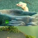 백사농장 이미지