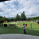 의림약국 | [반려견 동반 리조트] 켄싱턴 리조트 충주