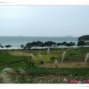 장삼포해수욕장 이미지