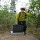 중앙사슴목장 이미지